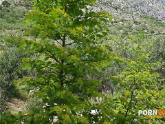 �������� 1